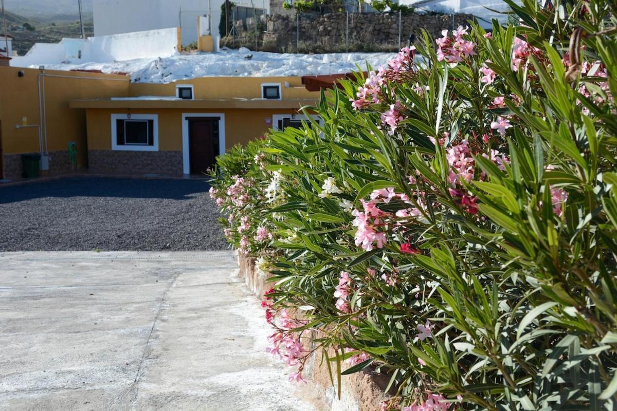 Casa Cueva Los Mansos Santa Cruz de Tenerife Eksteriør billede